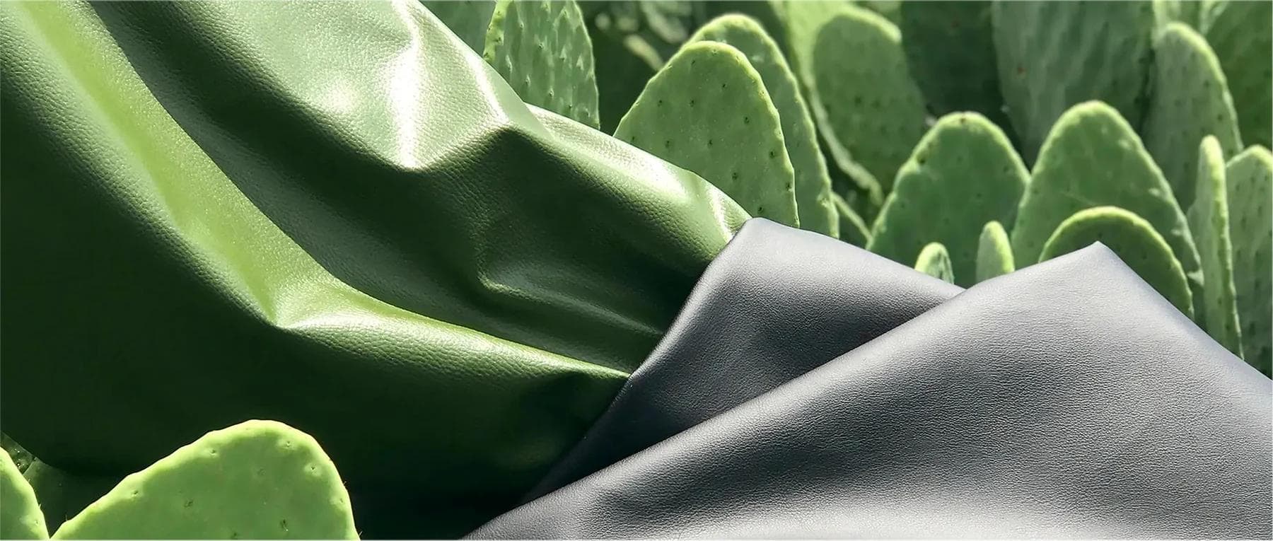 Le cuir végétal : un retour aux sources pour une mode plus durable